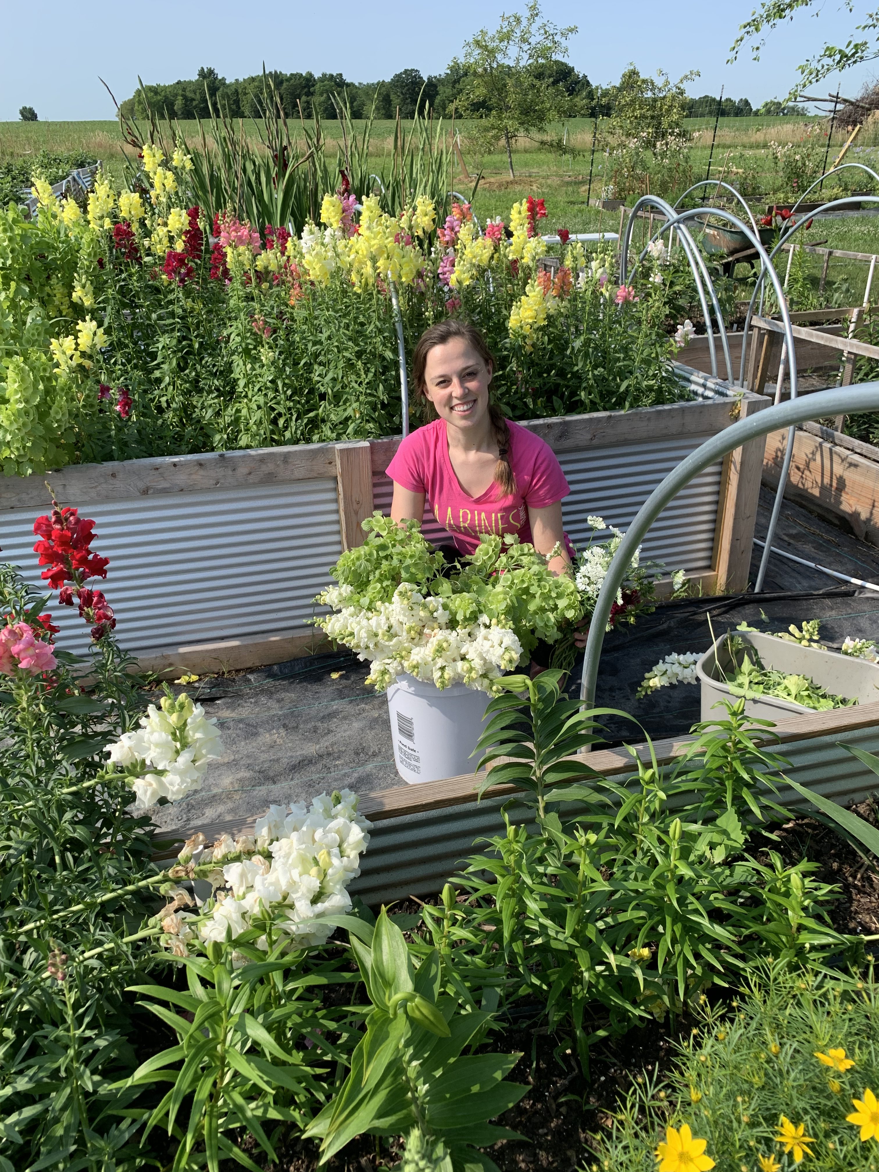 Harvesting summer flowers