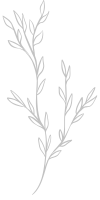 A simple gray illustration of a branch with delicate leaves.